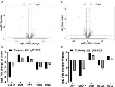 Socializing Models During Lactation Alter Colonic Mucosal Gene Expression and Fecal Microbiota of Growing Piglets